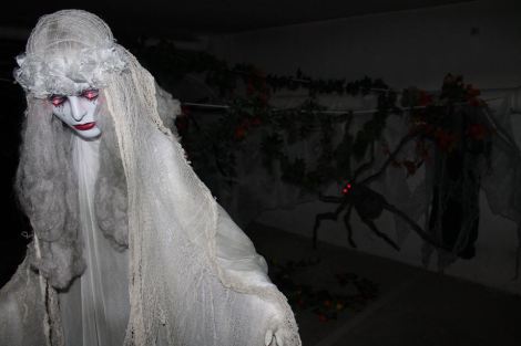 1604878_358720037610563_5962509575373064286_n