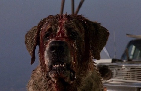 cujo-620x400