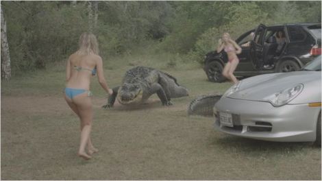 484006.jpg-r_640_600-b_1_D6D6D6-f_jpg-q_x-xxyxx