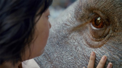 cannes-2017-okja-de-bong-joon-ho-guimauve-et-grand-guignol-a-la-demande,M452880.jpg
